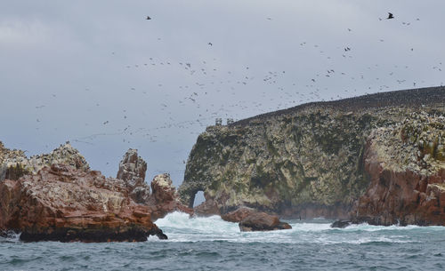 Birds flying over sea against sky