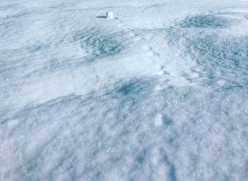 Full frame shot of sea