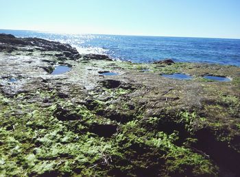 Scenic view of sea against clear sky