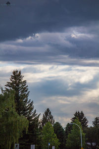 Low angle view of trees against cloudy sky