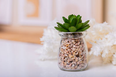 Close-up of food on table