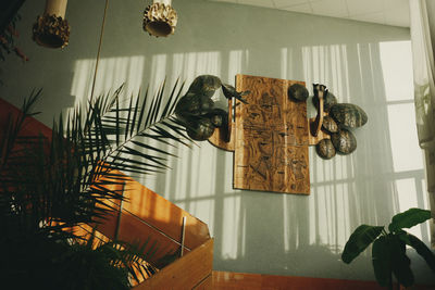 Potted plants hanging on ceiling of museum