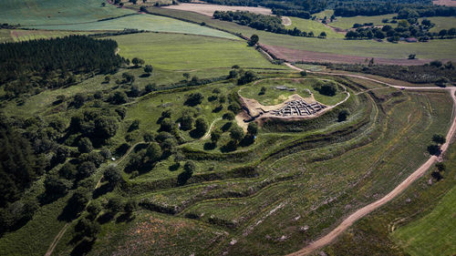 High angle view of agricultural field