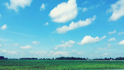 Scenic view of field against cloudy sky
