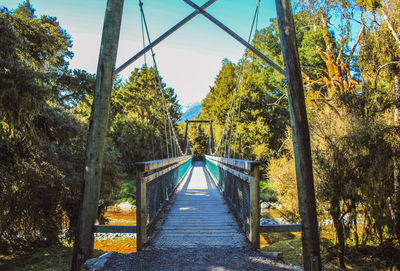 Footbridge amidst trees in forest