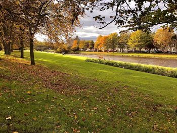 Scenic view of park during autumn