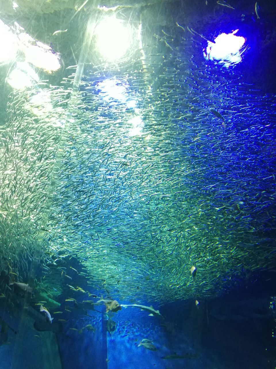 HIGH ANGLE VIEW OF ILLUMINATED LIGHTS ON WATER