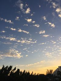 Silhouette trees against sky during sunset
