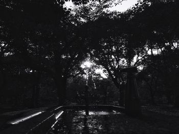 Road passing through trees