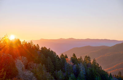 Scenic view of forest against sky during sunset