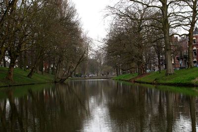 Scenic view of river by trees in city