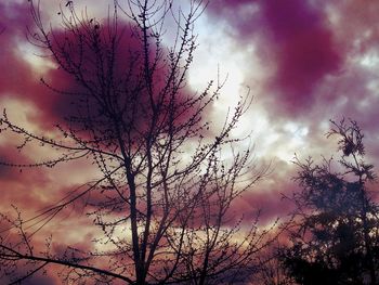 Low angle view of bare trees against cloudy sky