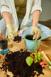 Midsection of man holding potted plant
