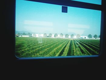 Scenic view of field seen through car window