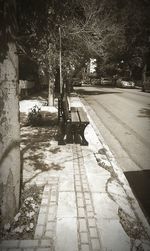 View of road along trees