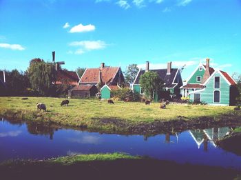 Houses against blue sky