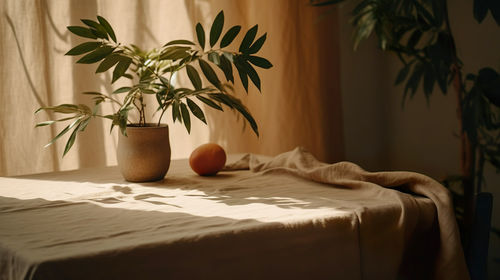 Potted plant on bed at home