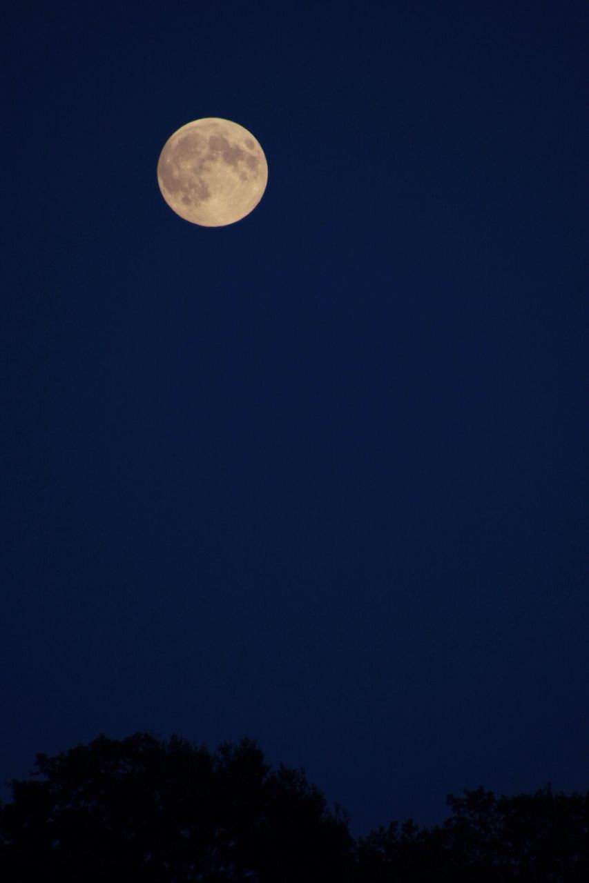 moon, low angle view, night, astronomy, full moon, clear sky, beauty in nature, scenics, copy space, tranquility, tranquil scene, planetary moon, sky, nature, blue, space exploration, circle, silhouette, idyllic, majestic