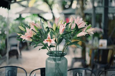 Close-up of flowers in vase