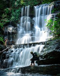 Low angle view of waterfall in forest