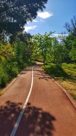 Empty road along trees and plants