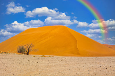 The beautiful scenery of the namib desert