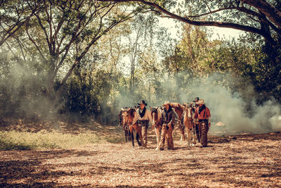 Men with horses walking on land in forest