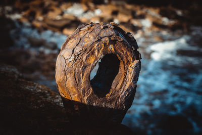 Close-up of rusty metal