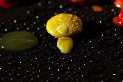 Close-up of wet fruit on table