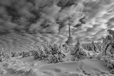 Snow covered trees against cloudy sky