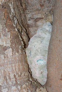 Close-up of heart shape stone