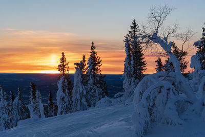 Scenic view of snow covered land against sky during sunset