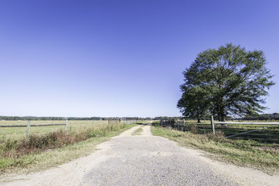 Empty road amidst field against clear blue sky