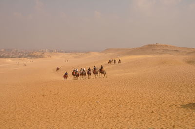 People riding camels on sand dune in desert against sky