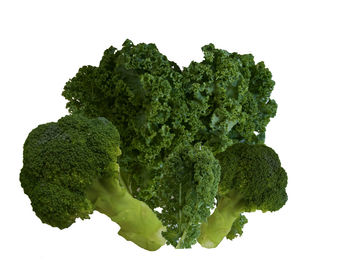 Close-up of green leaf against white background