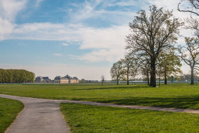 Trees on field against sky