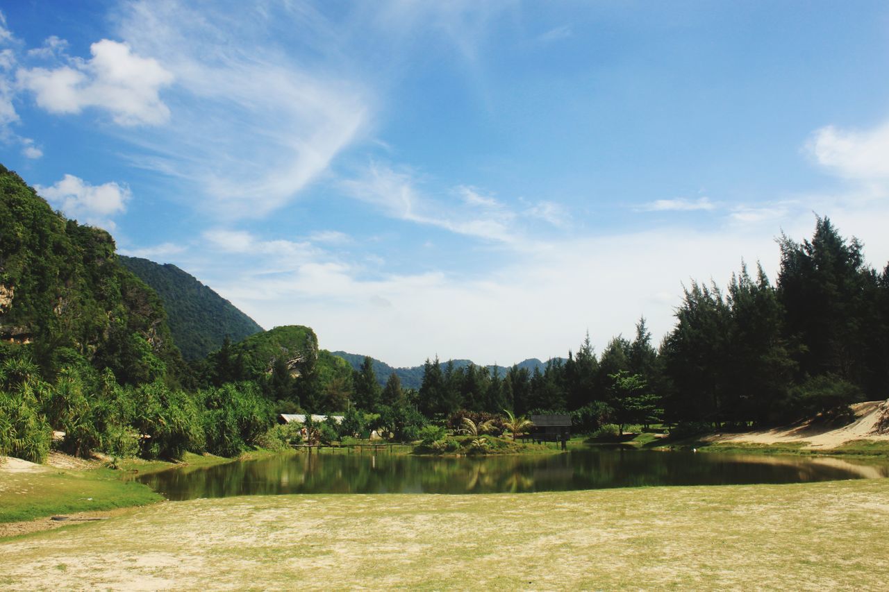 SCENIC VIEW OF LAKE AMIDST TREES AGAINST SKY