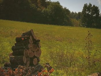 Stack of stones on field against trees