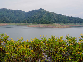 Scenic view of lake and mountains against sky