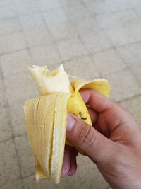 Close-up of hand holding leaf