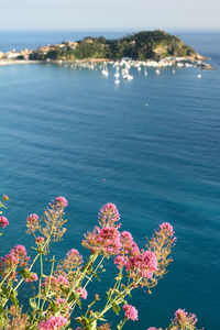 sea