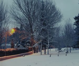 Snow covered landscape