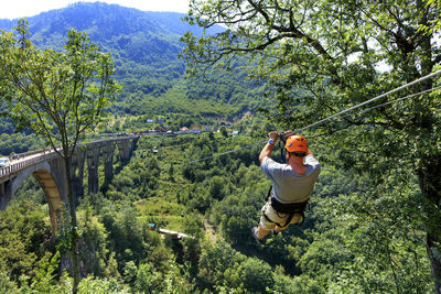 Rear view of man zip lining over trees at forest