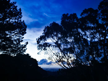 Low angle view of silhouette trees against sky at sunset