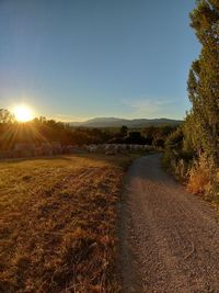 Scenic view of field against clear sky during sunset