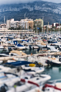 Sailboats moored in harbor