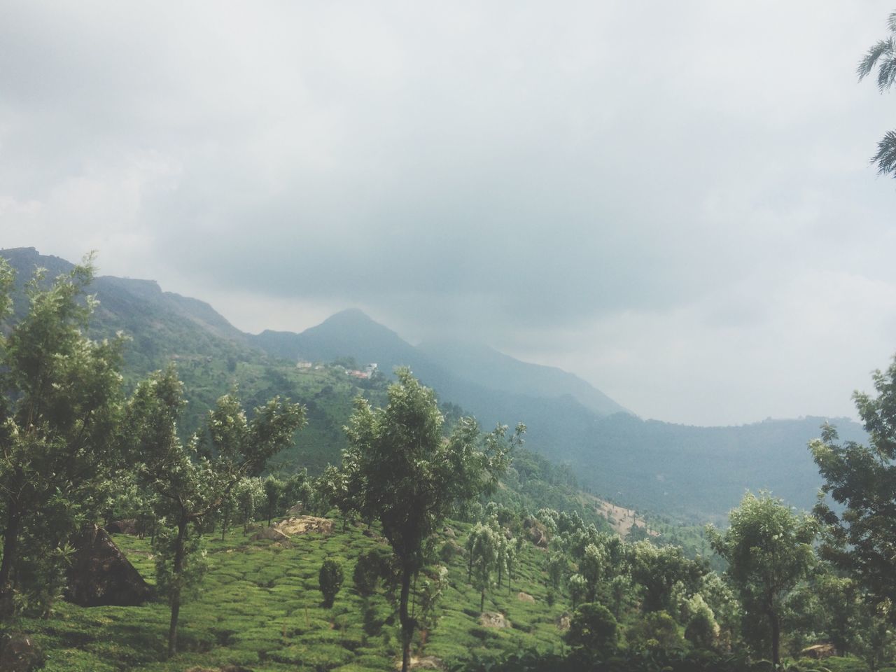 mountain, tree, tranquil scene, sky, tranquility, scenics, beauty in nature, mountain range, nature, growth, landscape, cloud - sky, green color, non-urban scene, idyllic, cloudy, lush foliage, cloud, day, outdoors