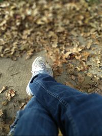 Low section of man standing on dry leaves