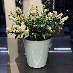 Close-up of white potted flower vase on table