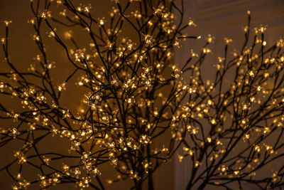 Low angle view of flowering plants against sky